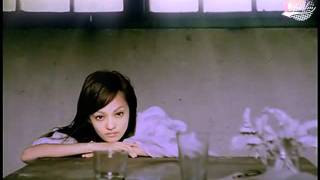 [Engsub] Angela Zhang 张韶涵 - 隱形的翅膀 (Invisible Wings)