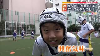 サンプル動画