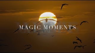 Magic Moments with Schiller Animation HD