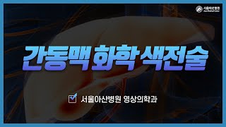 간<b>동맥</b> 화학 색전술 미리보기 썸네일