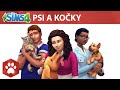 Hra na PC The Sims 4: Psi a kočky