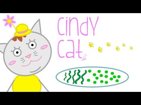 Cindy Cat non mangia le verdure