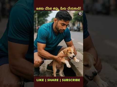 Dog Bite Took His Life… Brijesh Solanki’s Painful Story 💔🐶 #Rabies #Shorts