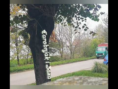 CAROBNJAK I ZOZA - Tako radimo