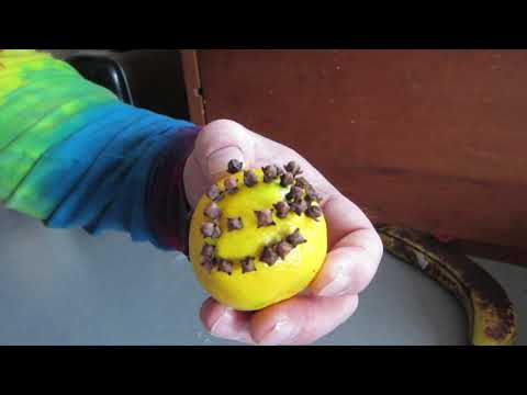 Backwards Clementine