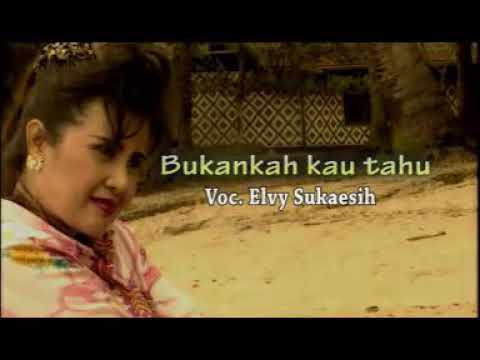 Elvy Sukaesih - Bukankah Kau Tahu (Clip Lirik)