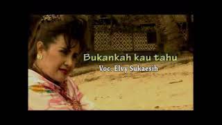 Download lagu Elvy Sukaesih - Bukankah Kau Tahu (Clip Lirik) mp3