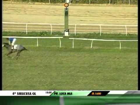 04/11/2012, Siracusa , Premio Loca Mia