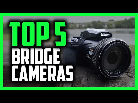 Best Bridge Cameras in 2020 [Top 5 Picks With Amazing ZOOM!]