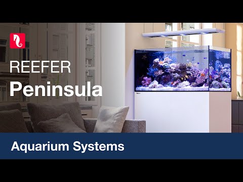 red sea s spectacular peninsula style and super sized reefers are here