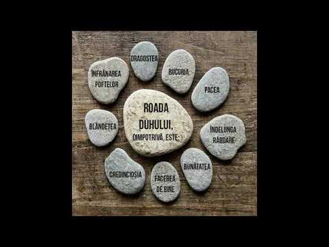 SAMI  BARSAN  SI  GRUPUL  COLAJ  DE  CANTARI  CRESTINE  CU ACORDEONUL  NOU