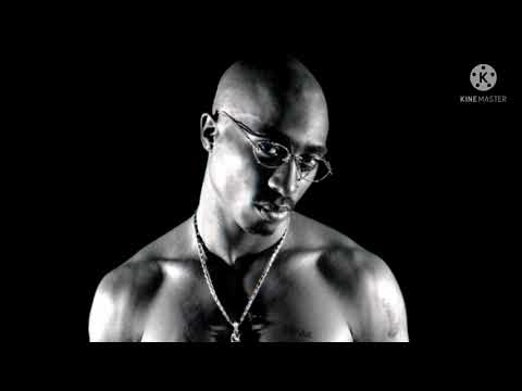 2Pac, Method Man, Redman, Snoop Dogg, Busta Rhymes - Tear The Roof Off