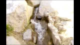 Pasion de Saya-Amanecer Andino