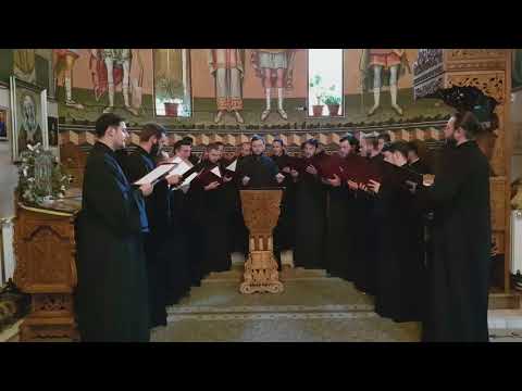 Grupul Vasile cel Mare -  De tine se bucura, de Sfantul Ioan Cucuzel