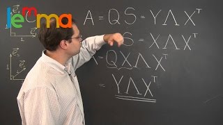 Linear Algebra 23f: Introducing the Celebrated Singular Value Decomposition (SVD)