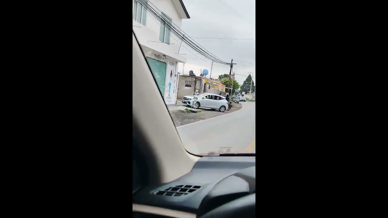 Dog Squad Out for a Drive || ViralHog