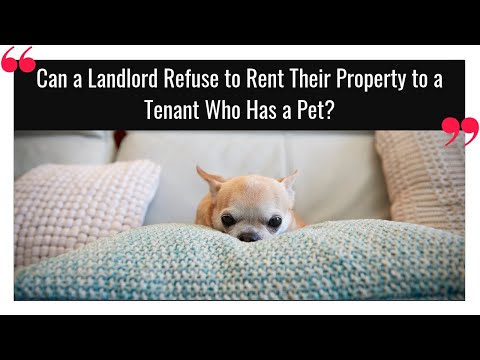 Can a Landlord Refuse to Rent Their Property to a Tenant who has a Pet?
