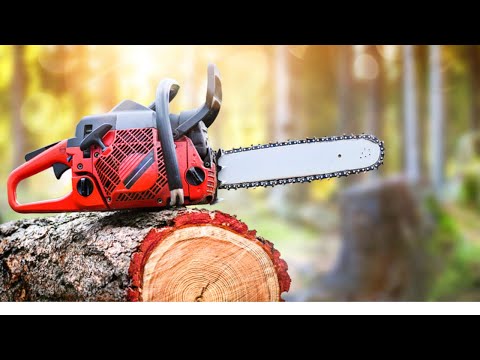 Top 10 Best Chainsaw 2022