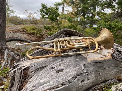 Vannetelbosch: Etude No. 1, from 20 Etudes (on B flat trumpet). Etude Project No. 60B.