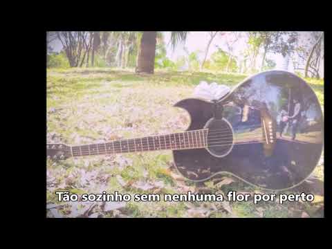 Meus Sentimentos video