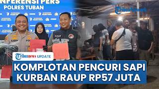 Polisi Bongkar Sindikat Maling Sapi di Tuban: Pelaku Raup Rp57 Juta, Uang Hasil Curian Dibuat Pesta