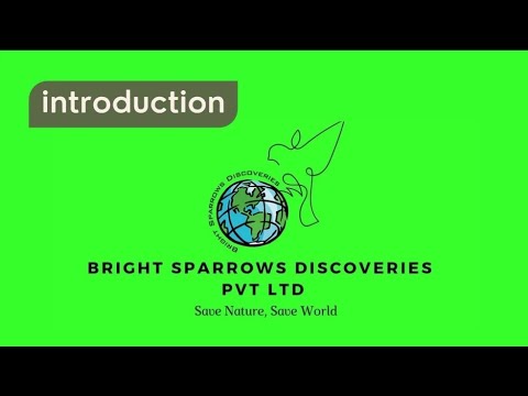 INTRODUCTION || BRIGHT SPARROWS DISCOVERIES PVT LTD || RAMKISHORE S.