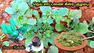 இந்தக் கீரை எந்த கடையிலும் கிடைக்காது, நெய் சாட்டனை குழம்பு l சாரணை கீரை குழம்பு l saranai keerai