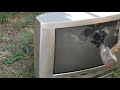 Samsung CW 21C73V Hagyományos Képcsöves CRT TV összetörés Réz Kiszedés