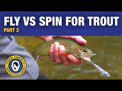 Compare and Contrast - Fly vs Spin Part 3/3  (fly fishing, spin fishing, trout fishing)