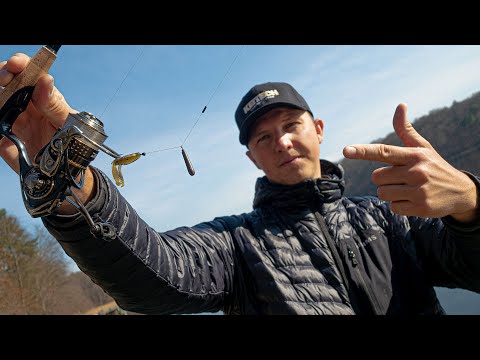 How to catch with the Free Rig! The best new finesse rig for perch and zander?