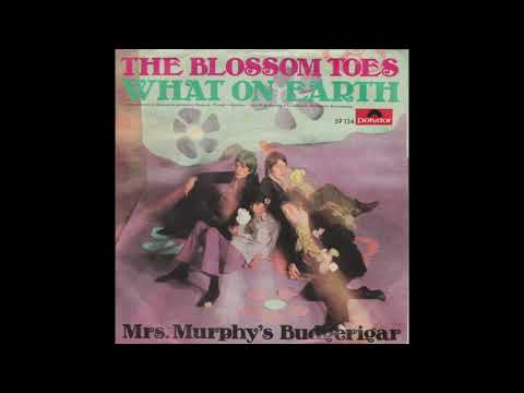 The Blossom Toes - What on earth