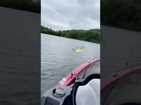 What happened when the Bass does not spit? Episode 2, Part 5  Alabama Scores Bass!.