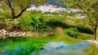 preview picture of video 'Molino de los Mizos y Jardín Botánico de Cactus  Casarabonela, Málaga'