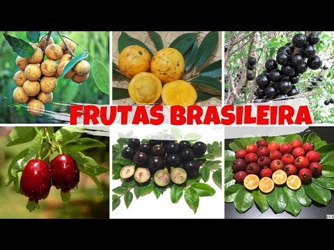 , title : '11 Espécies de Frutas nativas do Brasil'