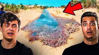 30 Momentos da Natureza que são Quase IMPOSSÍVEIS de Ver