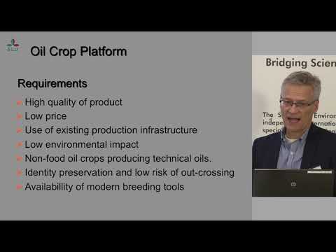 Industrial Oil Crops Supplying the Chemical Industry - SIANI