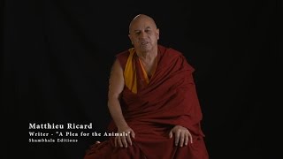 MATTHIEU RICARD – A Plea for Animals, the Planet & Human Beings