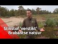 Boswachter Erik de Jonge laat zien wat de gevolgen zijn van stikstof voor de natuur.
