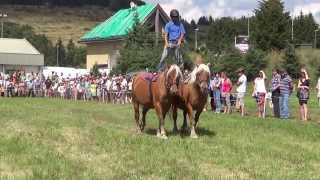preview picture of video 'Poste hongroise, fête du cheval 2013 Châteauneuf de Randon (Lozère)'