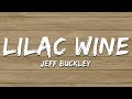 Jeff Buckley - Lilac Wine (Lyrics)