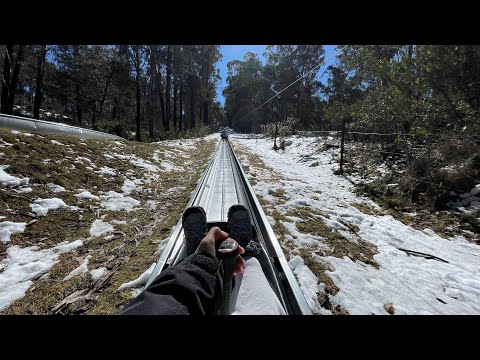Alpine Slide at Corin Forest ❄️☃️🏔️🌨️