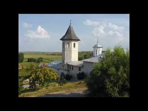 Mănăstirea Brâncoveni  - Plecăciune ție II (2003)