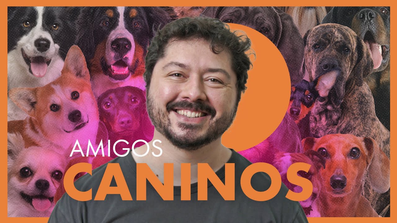 Como os cães se tornaram AUmigos