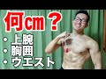 細マッチョのサイズ測定!腕周り35cm?胸囲100㎝?ウエストは?