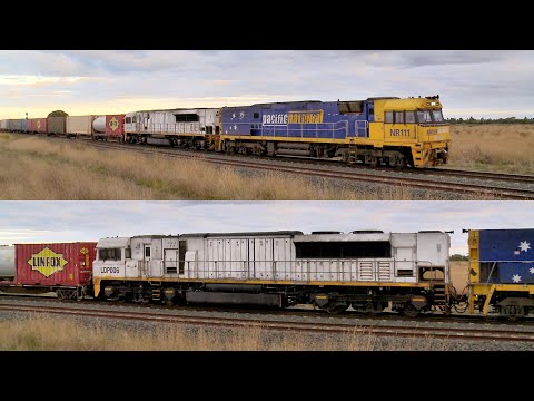 5MA5 Pacific National Container Train With NR111 & LDP006 (24/3/2022) - PoathTV Australian Railways