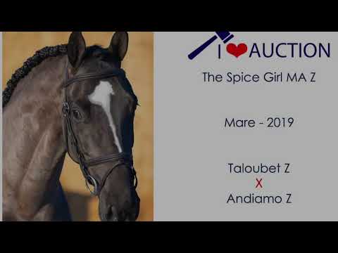 The Spice Girl MA Showvideo 3