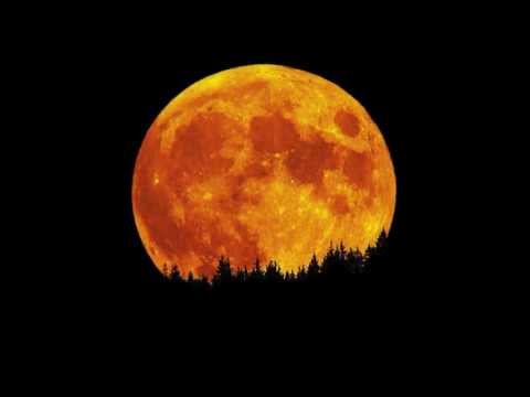 Hunter's Moon ( Sing! Day of song - Bobby McFerrin - Improvisation ) G-SLiK Remix