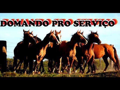 Domando Pro Serviço - Edinho Perlin