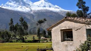 Los Jilgueros del Hualcan_Gorrion Andino - El zorzalito (1960) LP