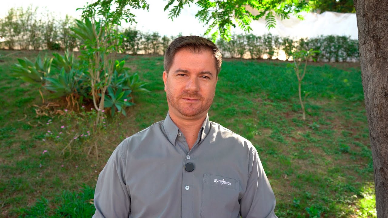 🔄 CONEXÃO CAPEBE (23/10/2024) – #139 Especial Syngenta 🔄